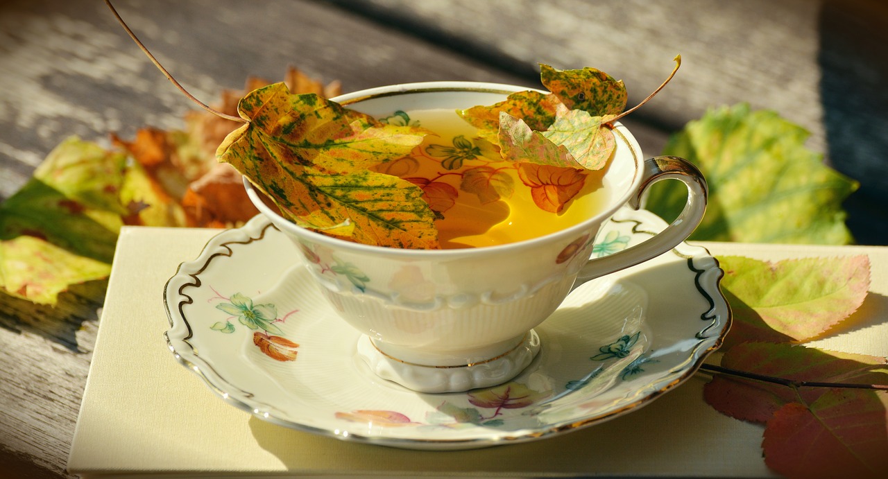 Image - tee teacup autumn autumn colours