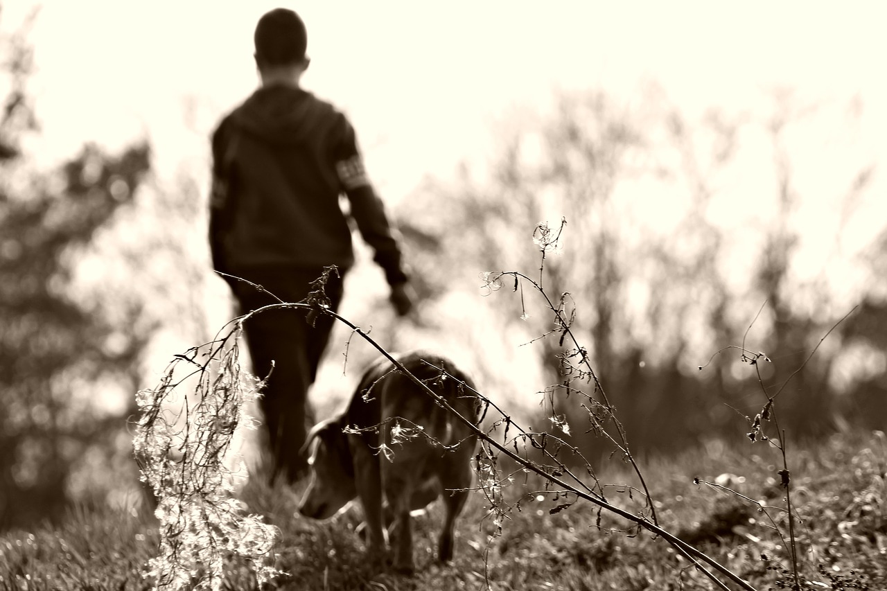 Image - walk field kid child dog pets