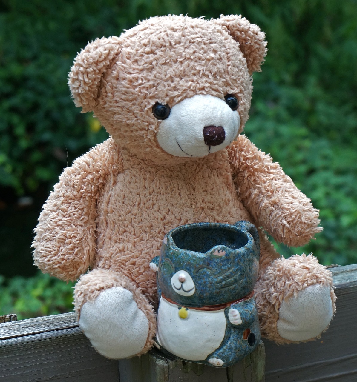 Image - old teddy bear with mug teddy bear