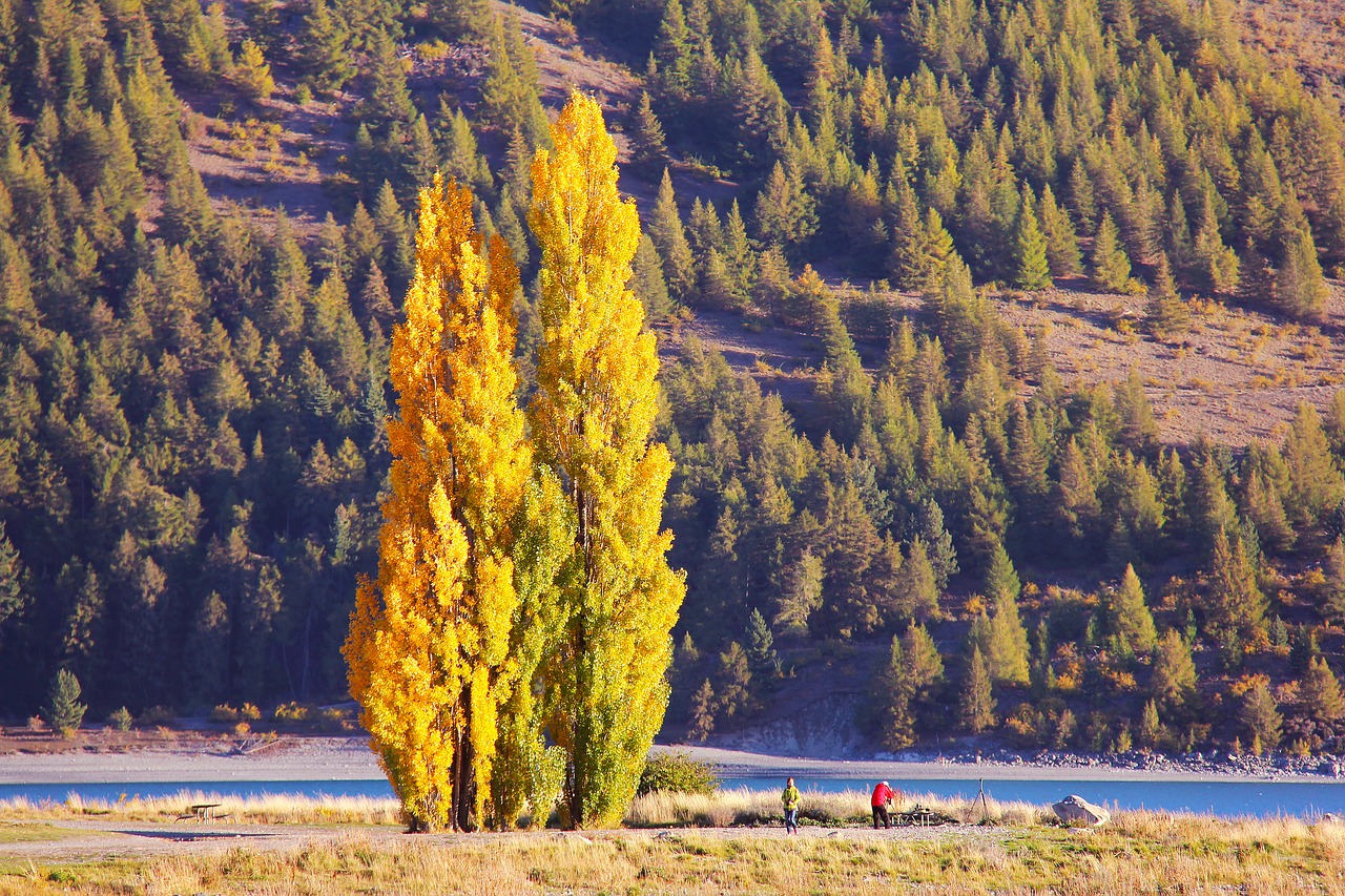 Image - church of the good shepherd lake