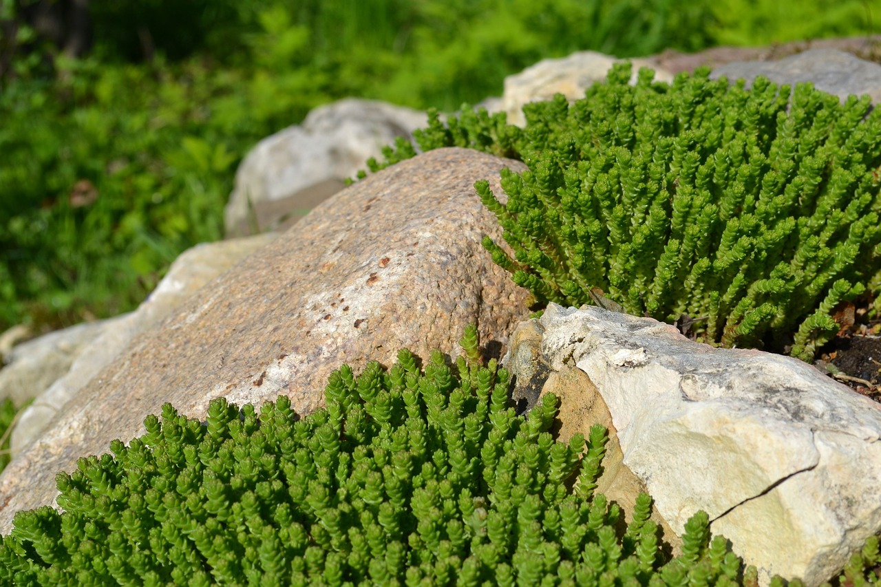 Image - stones greens alpine slide