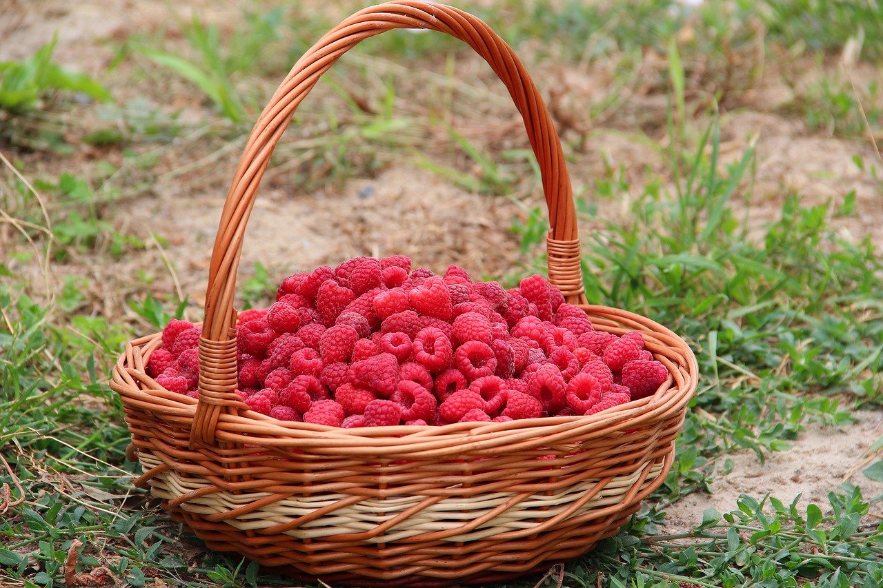 Image - raspberry basket berry juicy