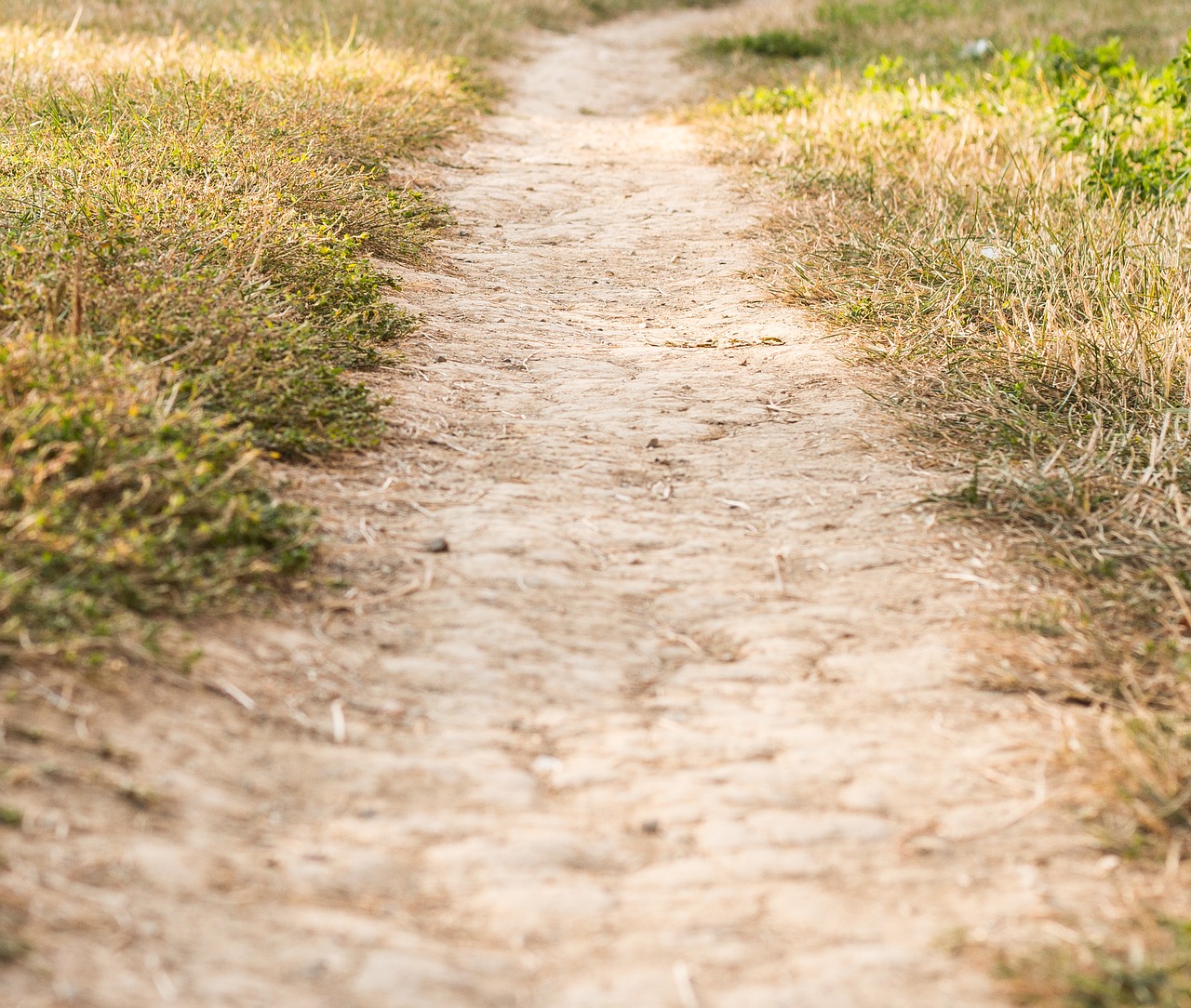 Image - path dusty road dust travel