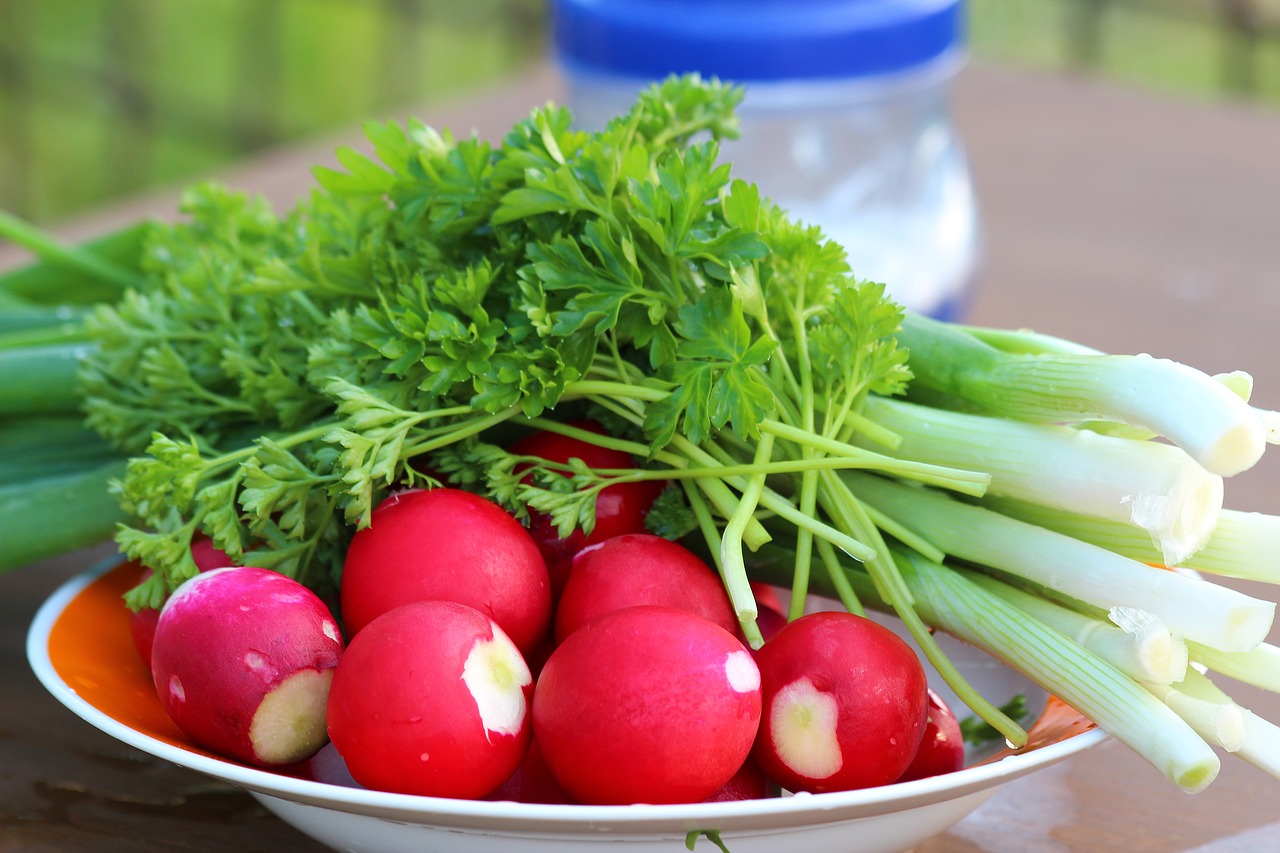 Image - radishes plate red root crop