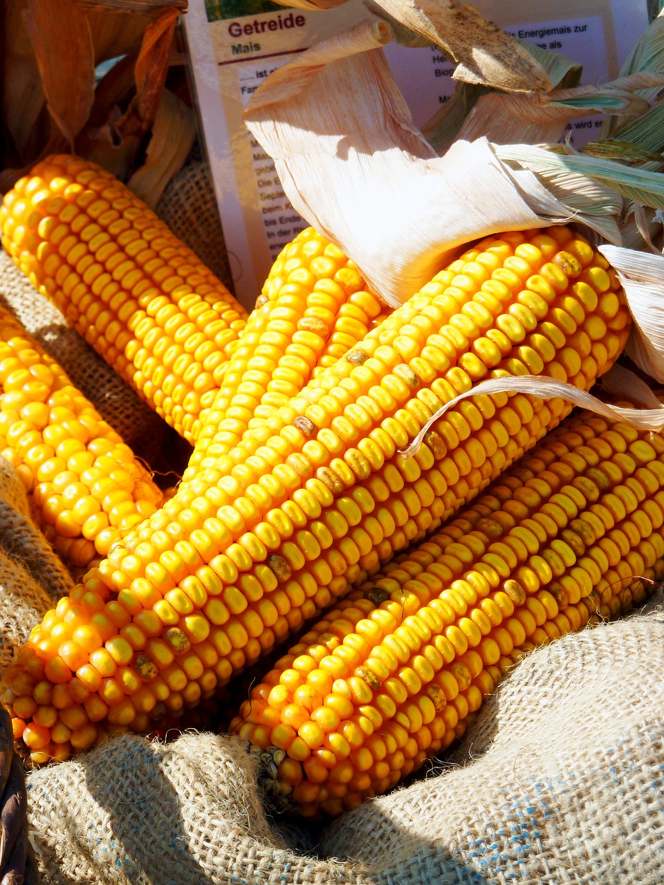 Image - arable harvest thanksgiving eat