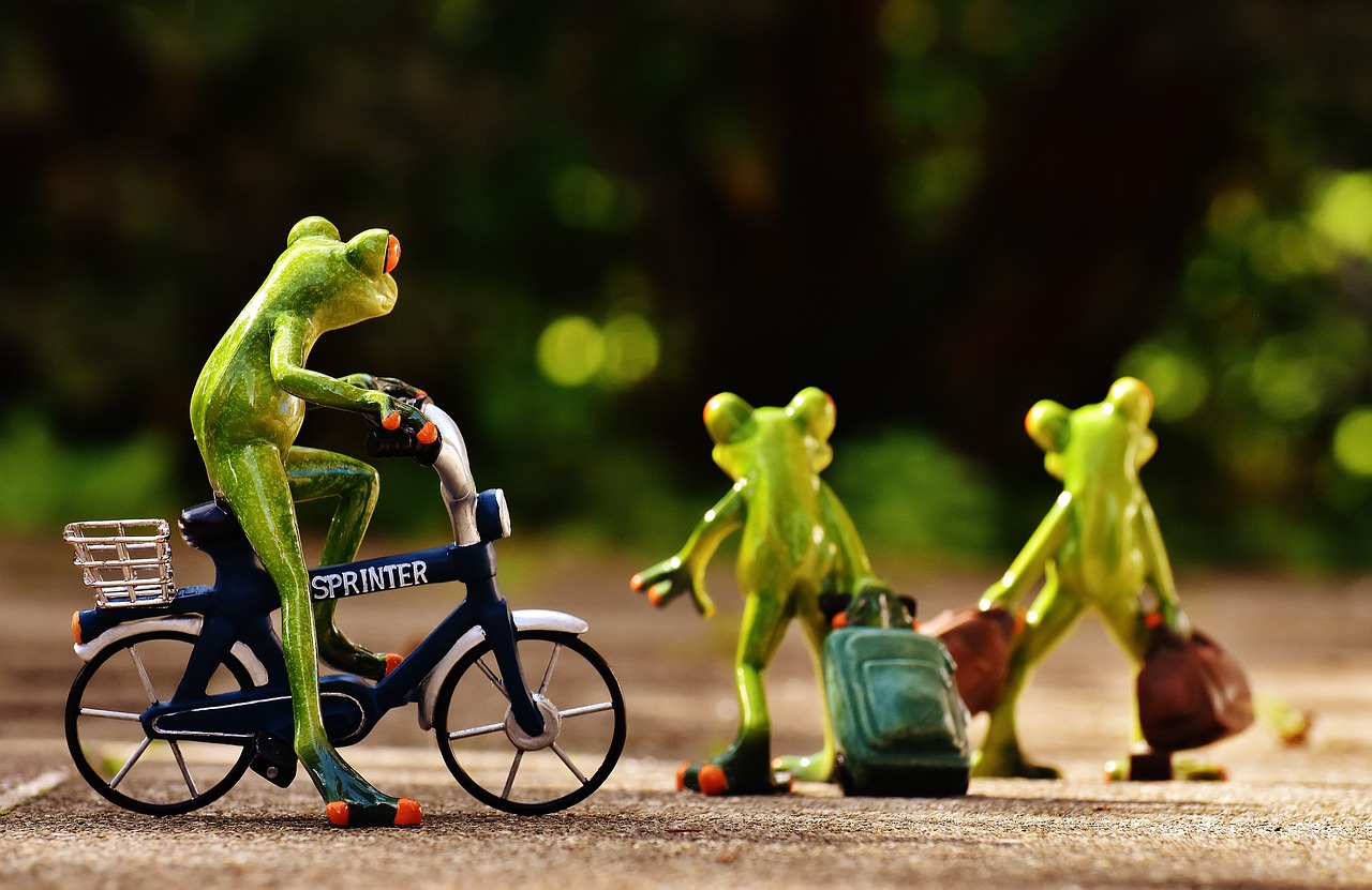 Image - frogs farewell bike trolley travel