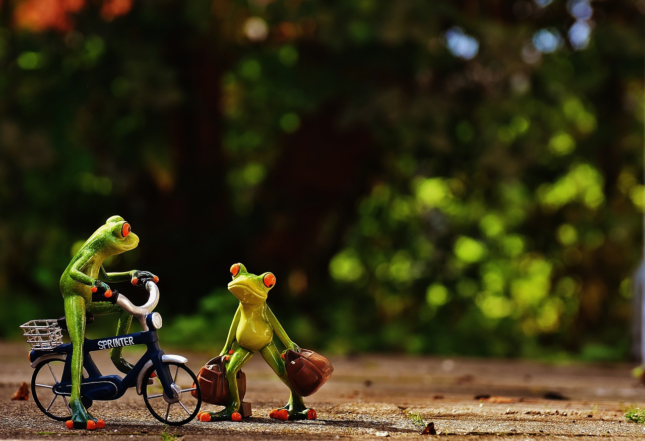 Image - frogs arrive bike holdall travel