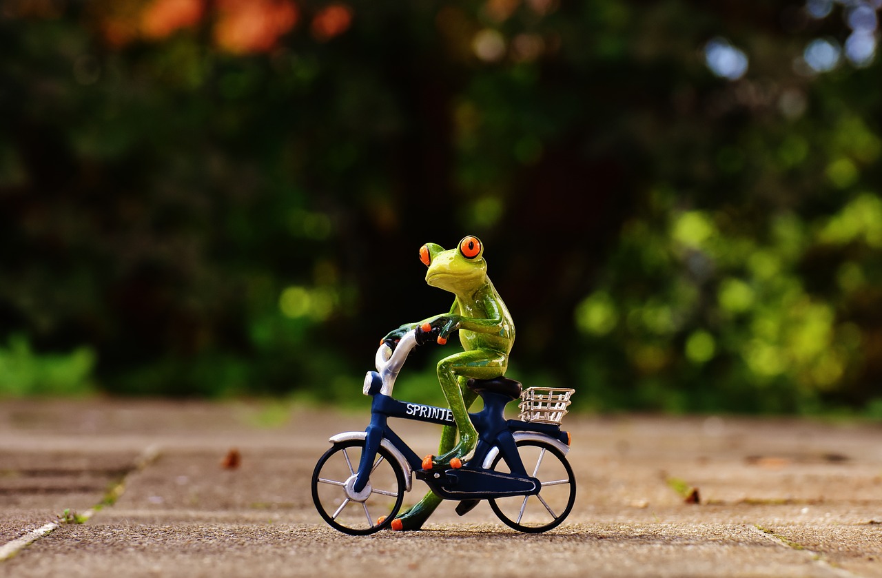 Image - frog bike funny cute sweet figure