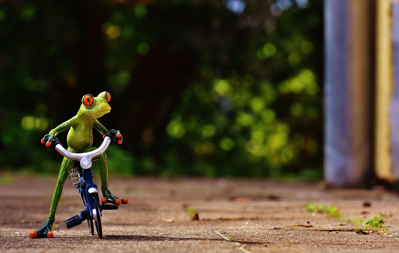 Image - frog bike funny cute sweet figure