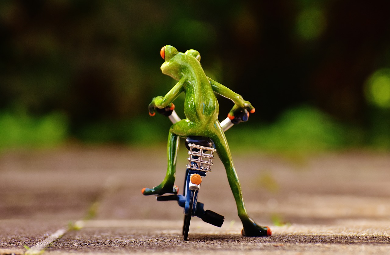 Image - frog bike funny cute sweet figure