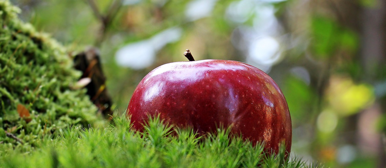 Image - apple red apple red chief red