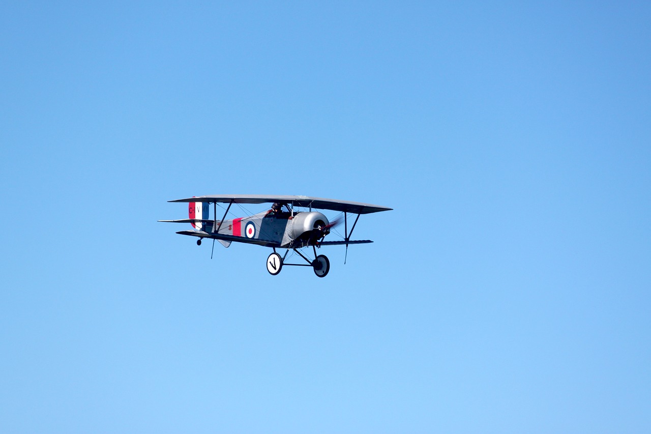 Image - biplane airplane flight aircraft