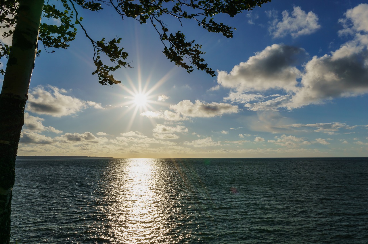 Image - sea baltic tree water sun clouds