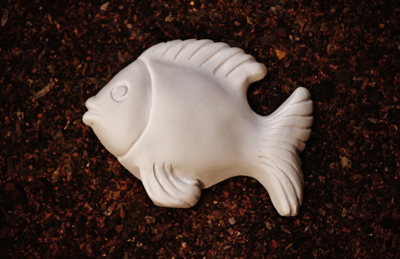 Image - fish gypsum blank unpainted white