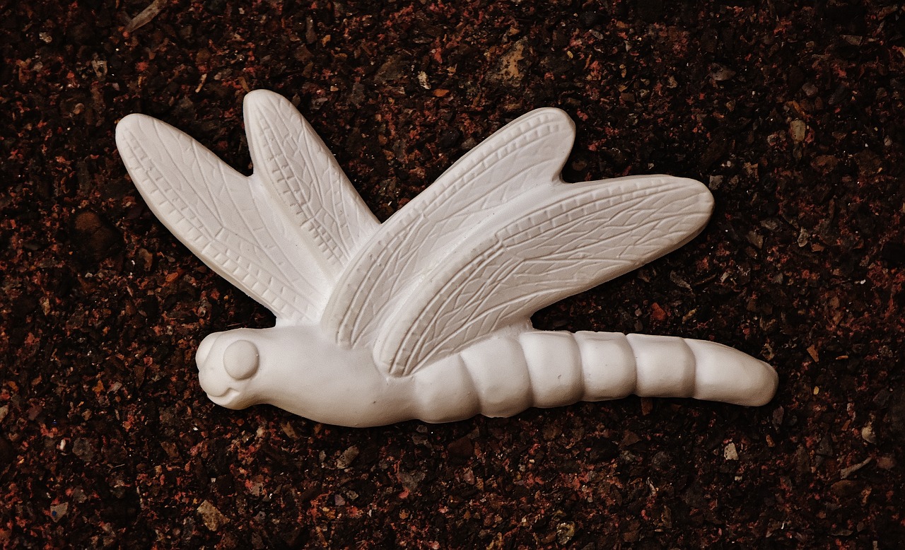 Image - dragonfly gypsum blank unpainted