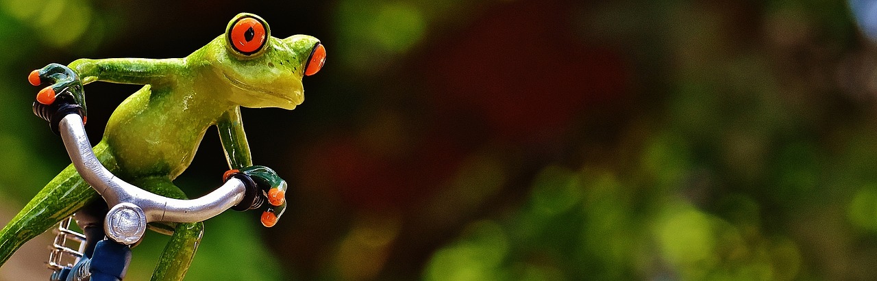 Image - frog bike curve funny cute sweet