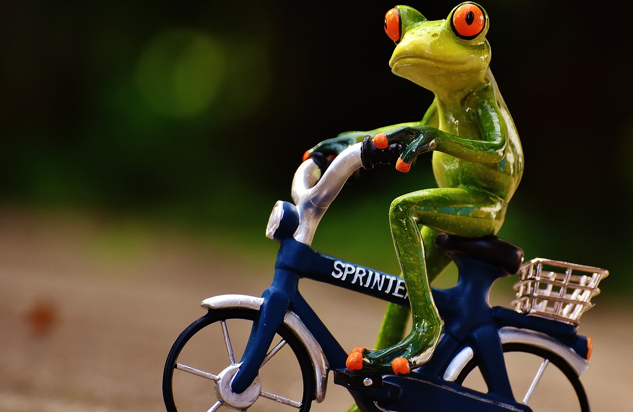 Image - frog bike uphill funny cute sweet