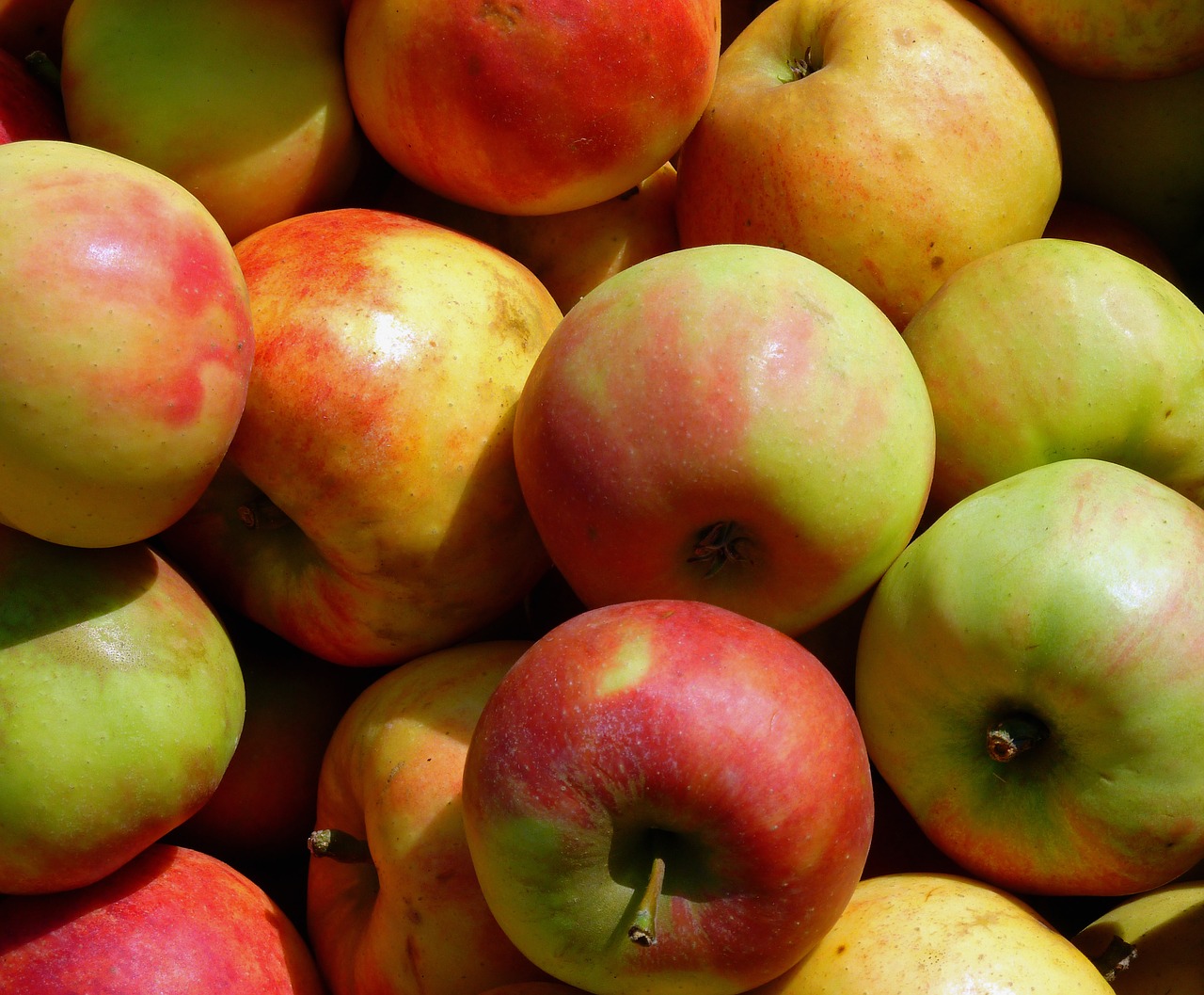 Image - apple apple tree trees leaves
