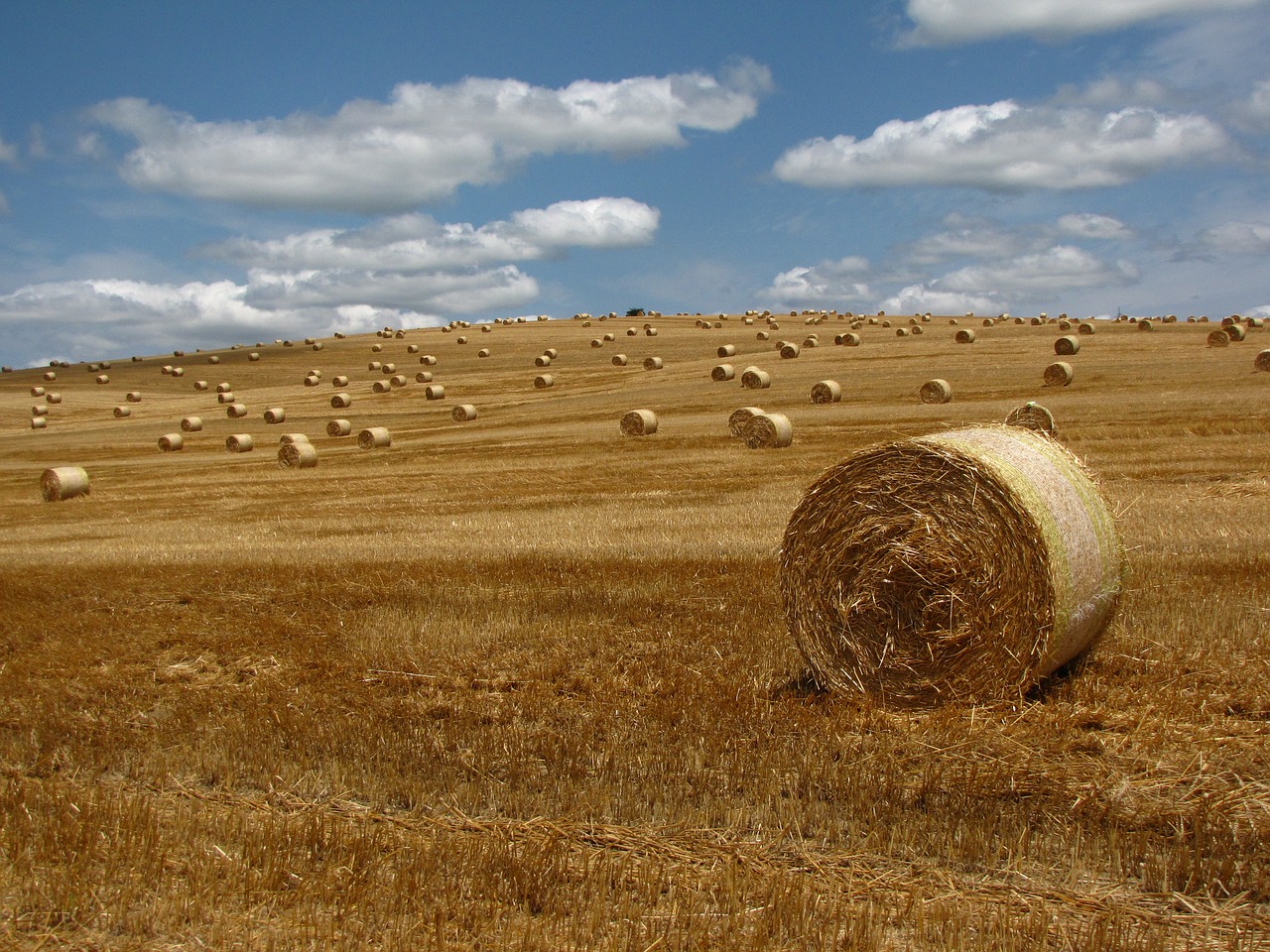 Image - straw bale meadow straw bale