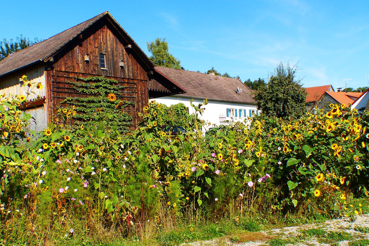 Image - flower meadow farm bees meadow