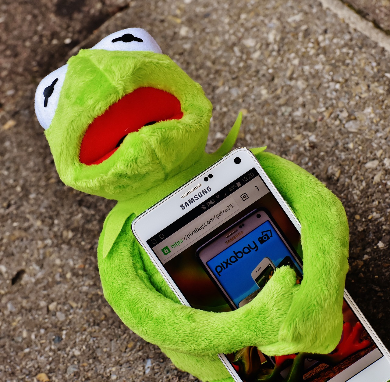 Image - kermit frog smartphone pixabay