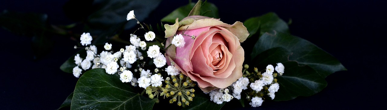 Image - rose blossom bloom flower