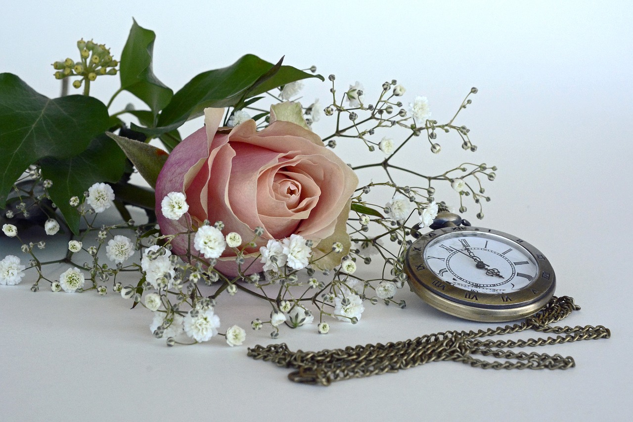 Image - rose blossom bloom flower