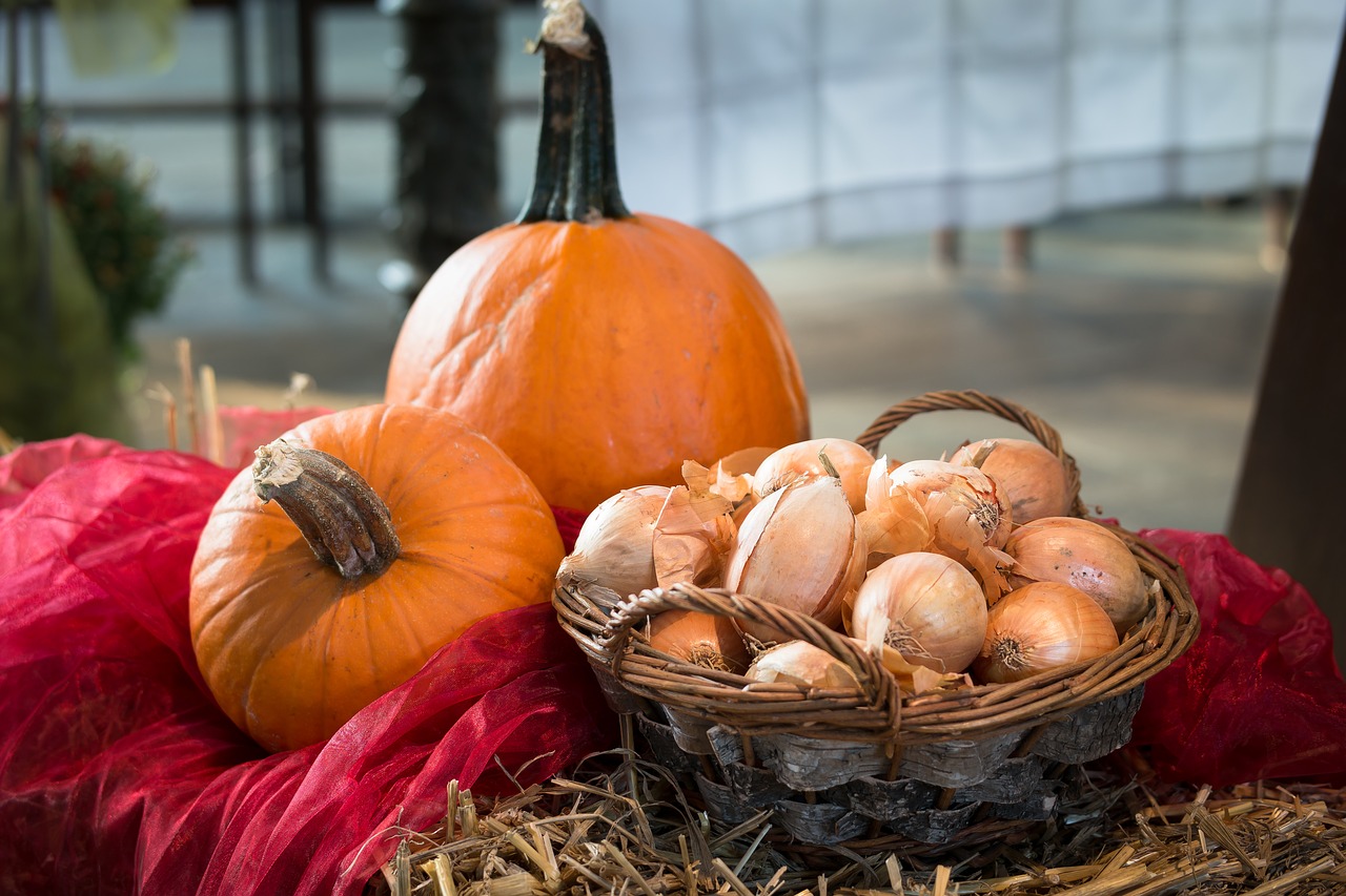 Image - pumpkin onions thanksgiving harvest