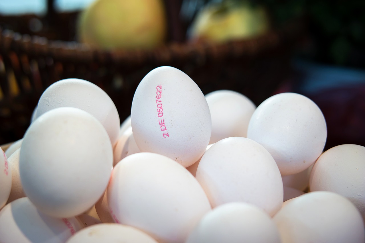 Image - egg thanksgiving chicken eggs
