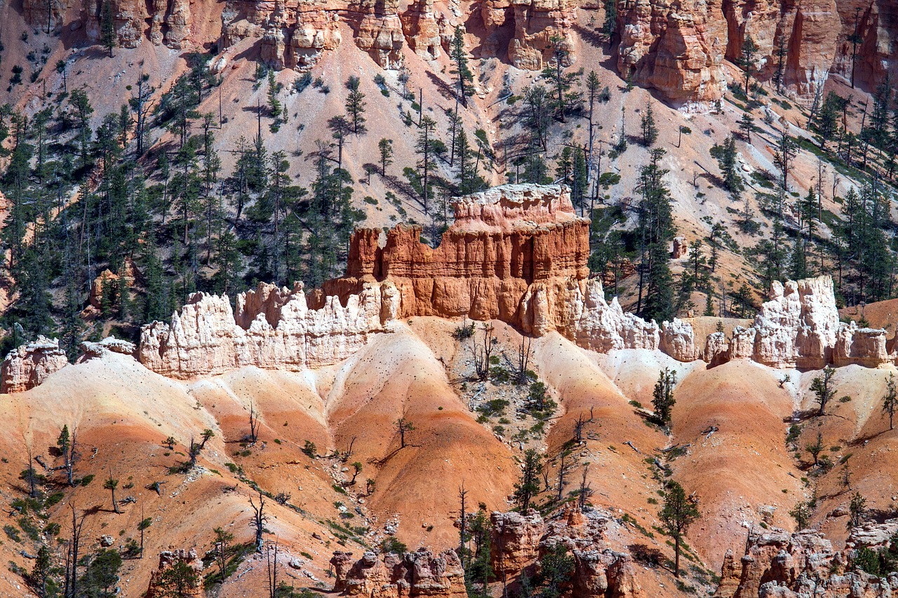 Image - bryce canyon paunsaugunt plateau