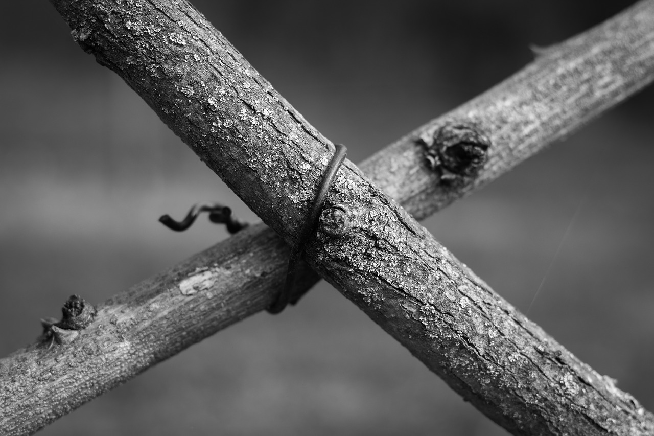 Image - branch branches wire cross