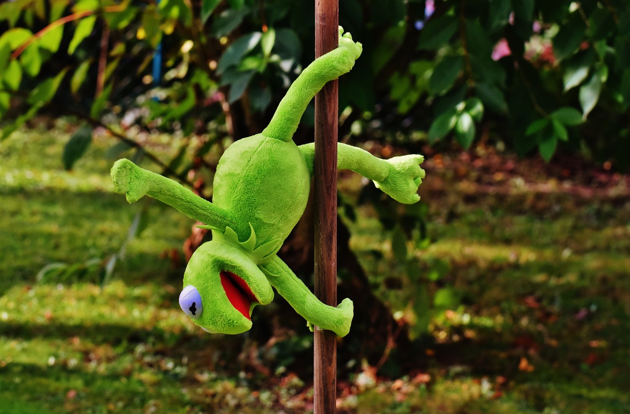 Image - pole dance kermit funny soft toy