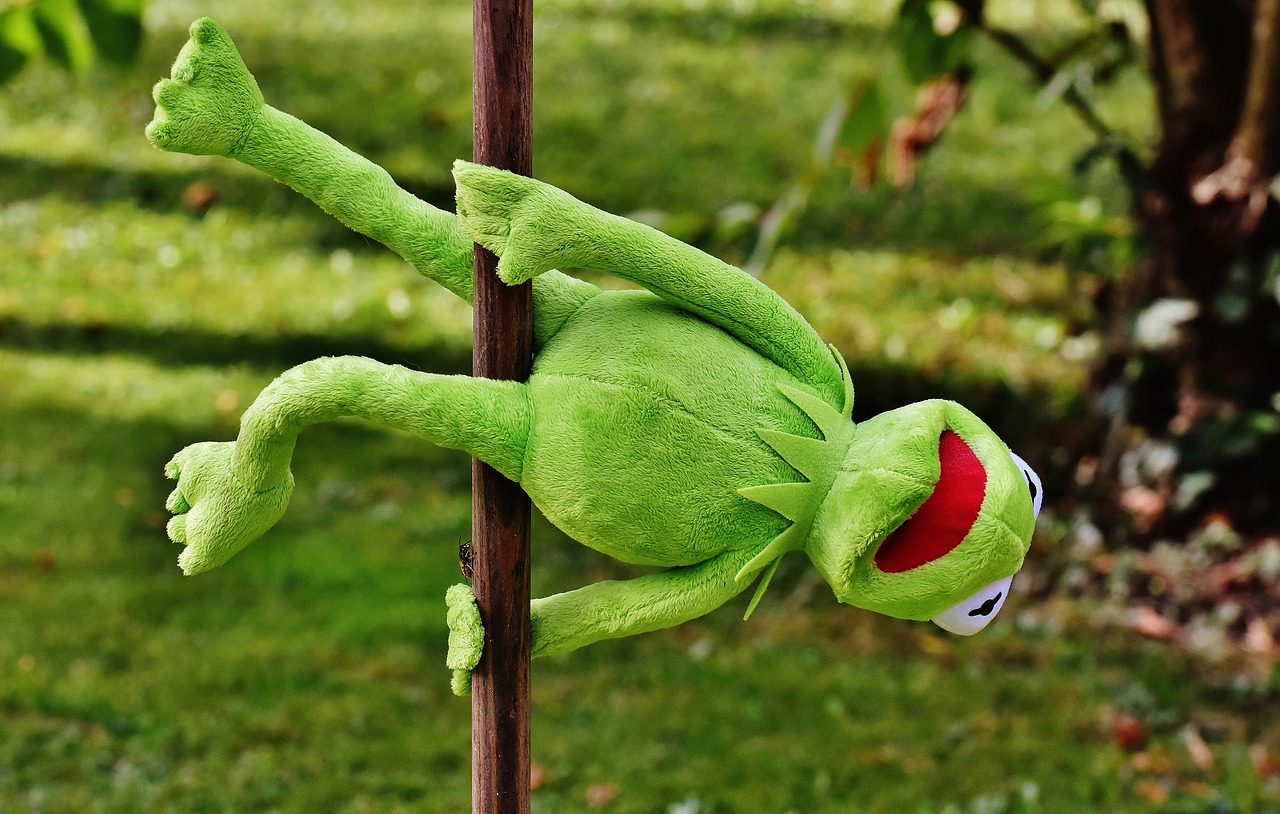 Image - pole dance kermit funny soft toy