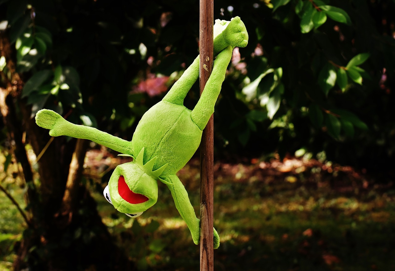 Image - pole dance kermit funny soft toy