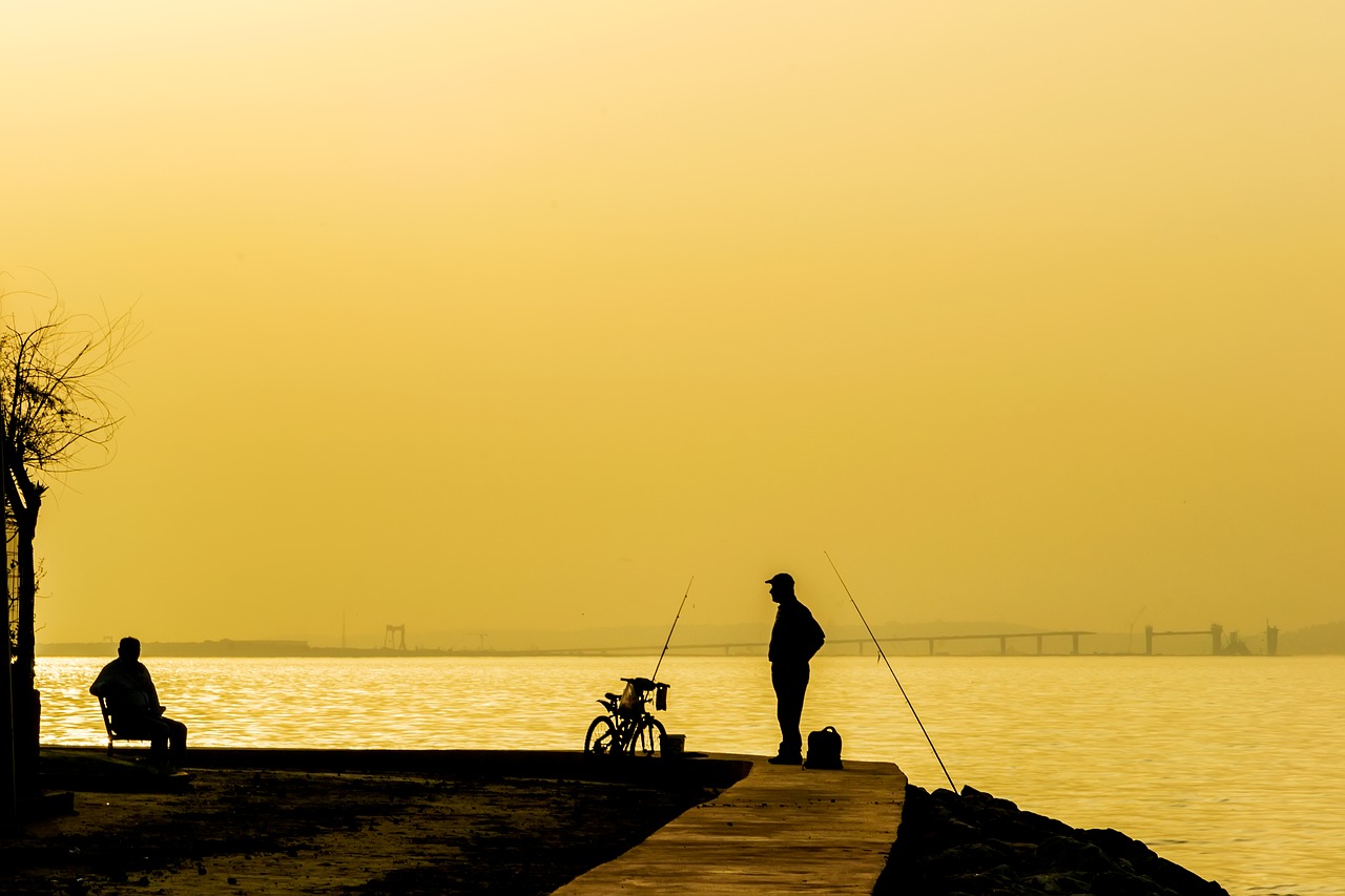 Image - silhouette sunset sunset sea views