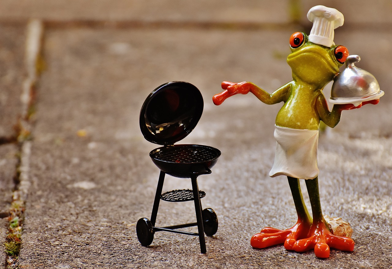 Image - frog cooking grill figure funny