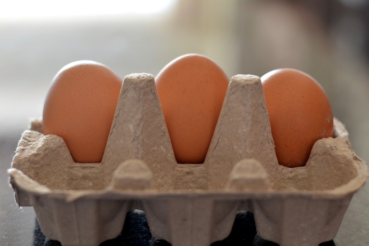 Image - eggs in container food healthy