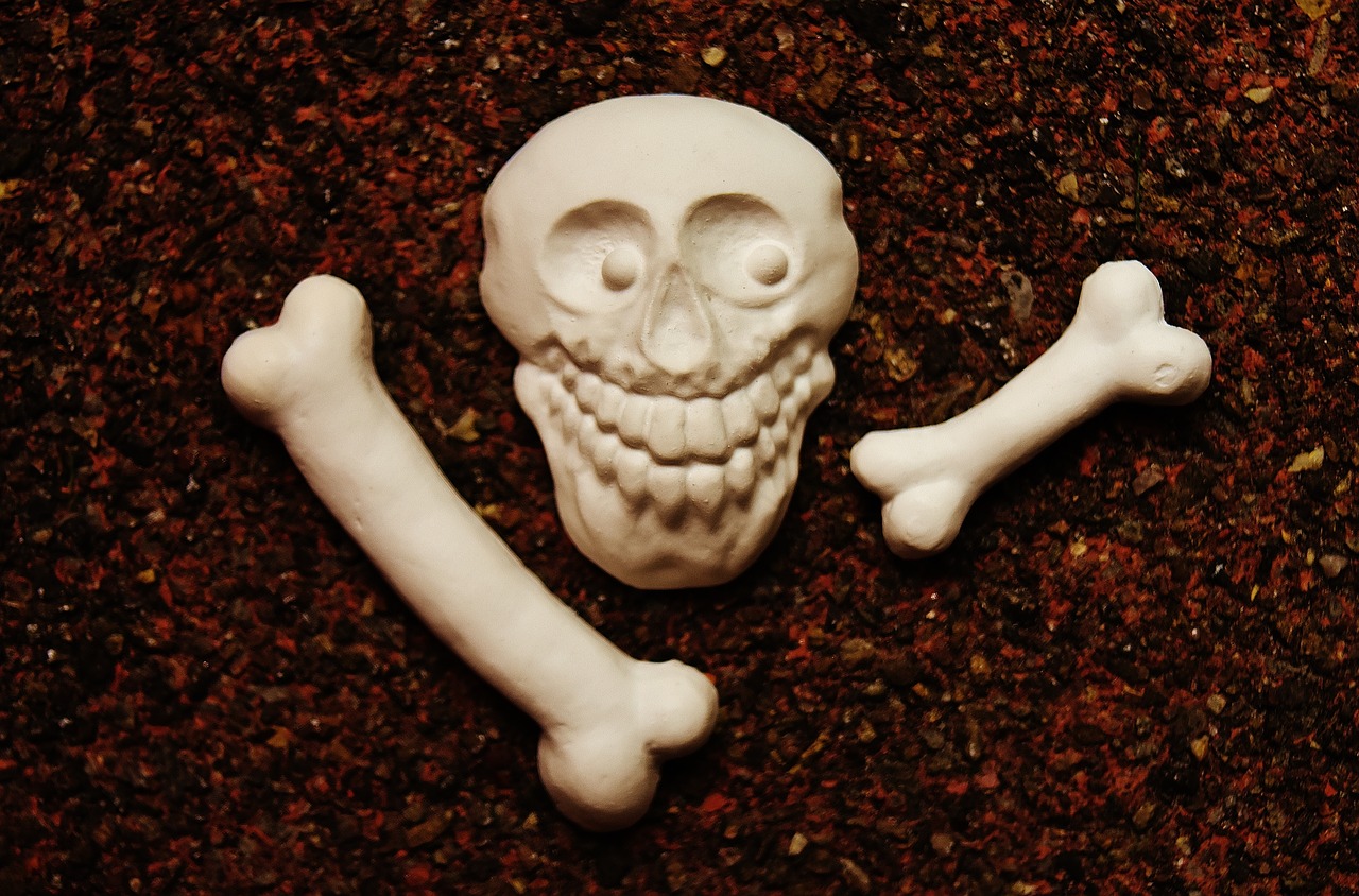 Image - skull and crossbones bone gypsum