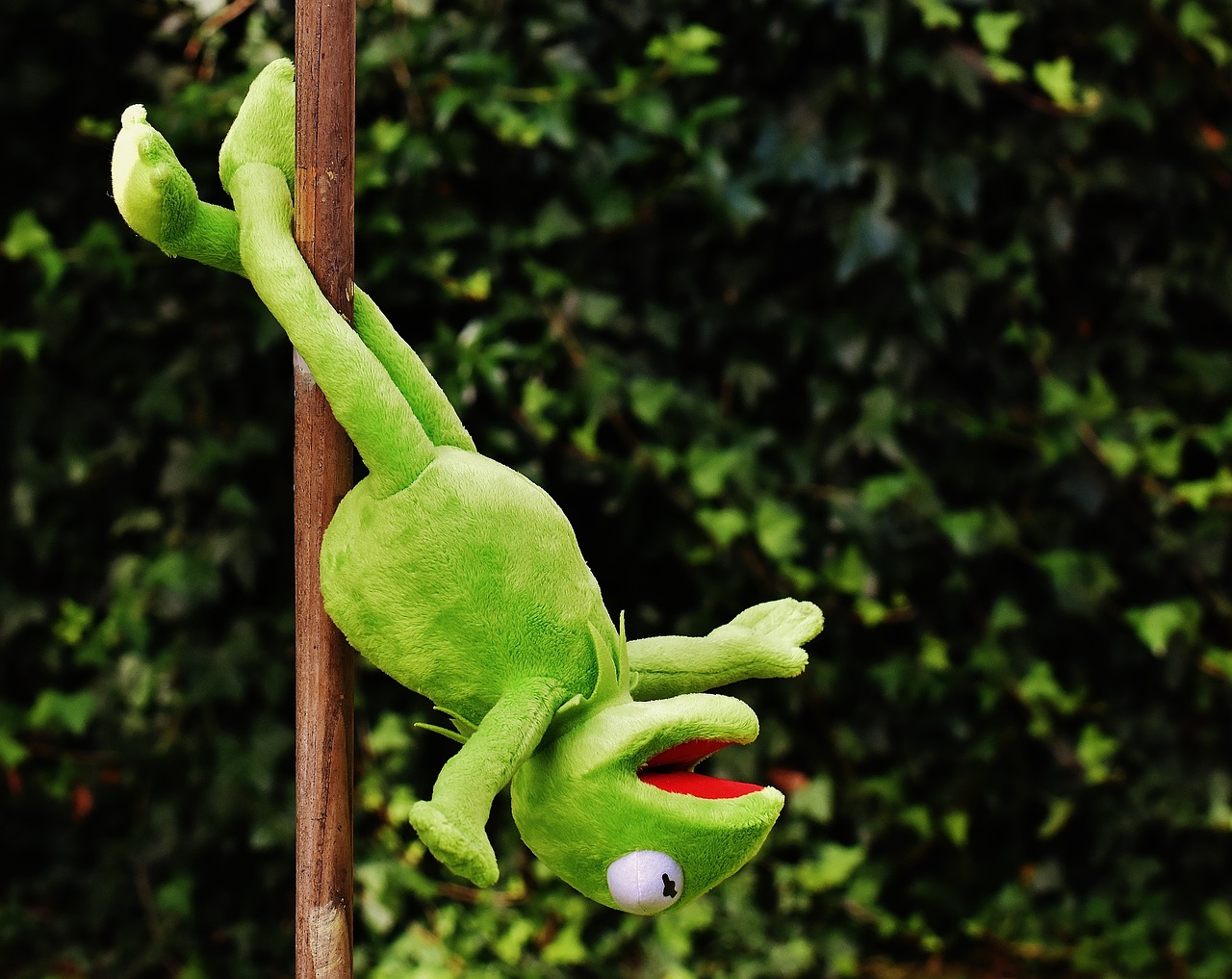 Image - pole dance kermit funny soft toy