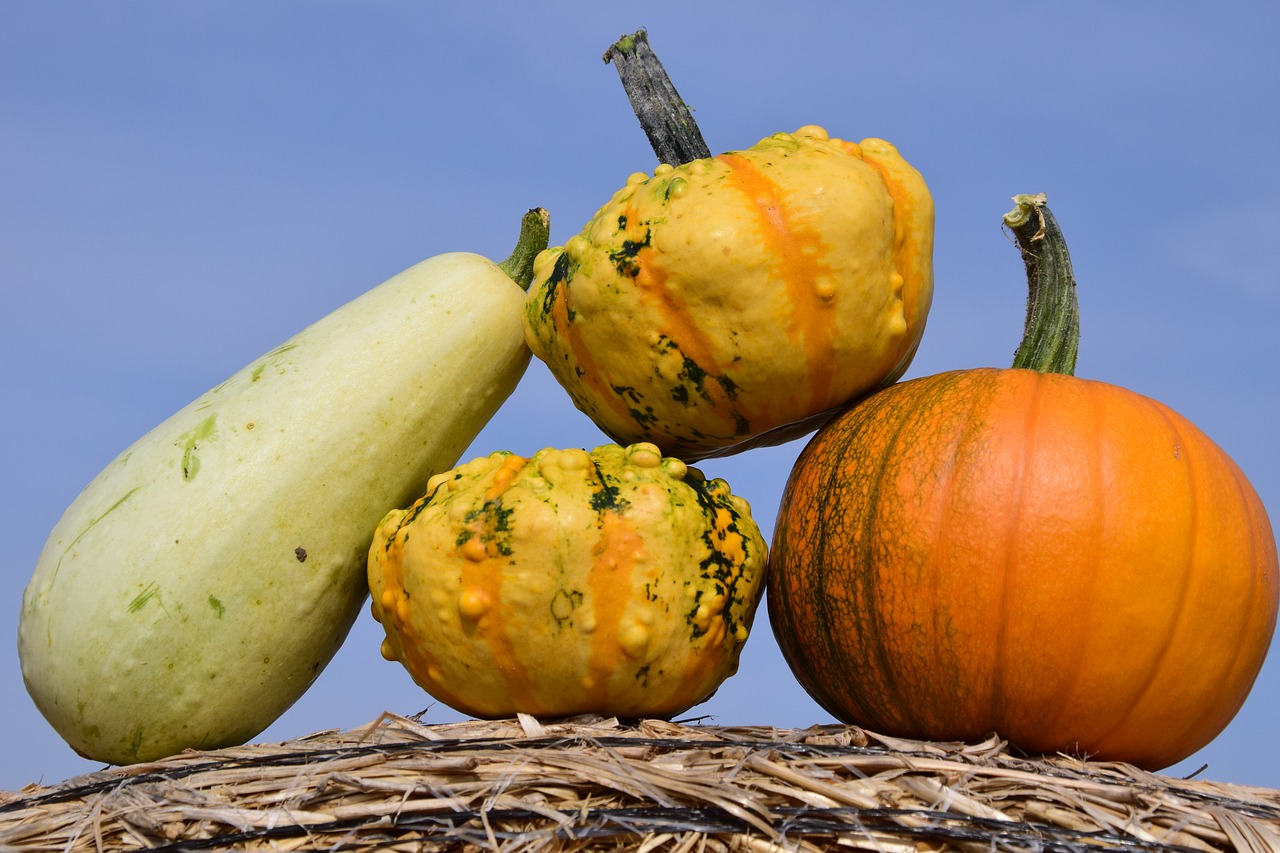 Image - pumpkin sky autumn red yellow