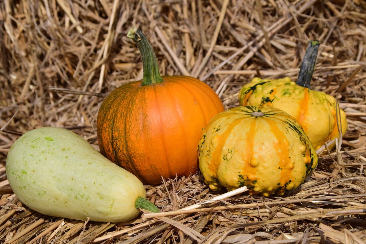 Image - pumpkin straw autumn red yellow