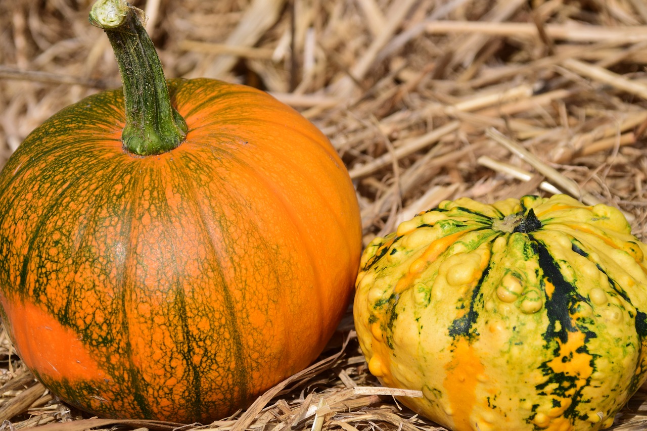 Image - pumpkin straw autumn red yellow