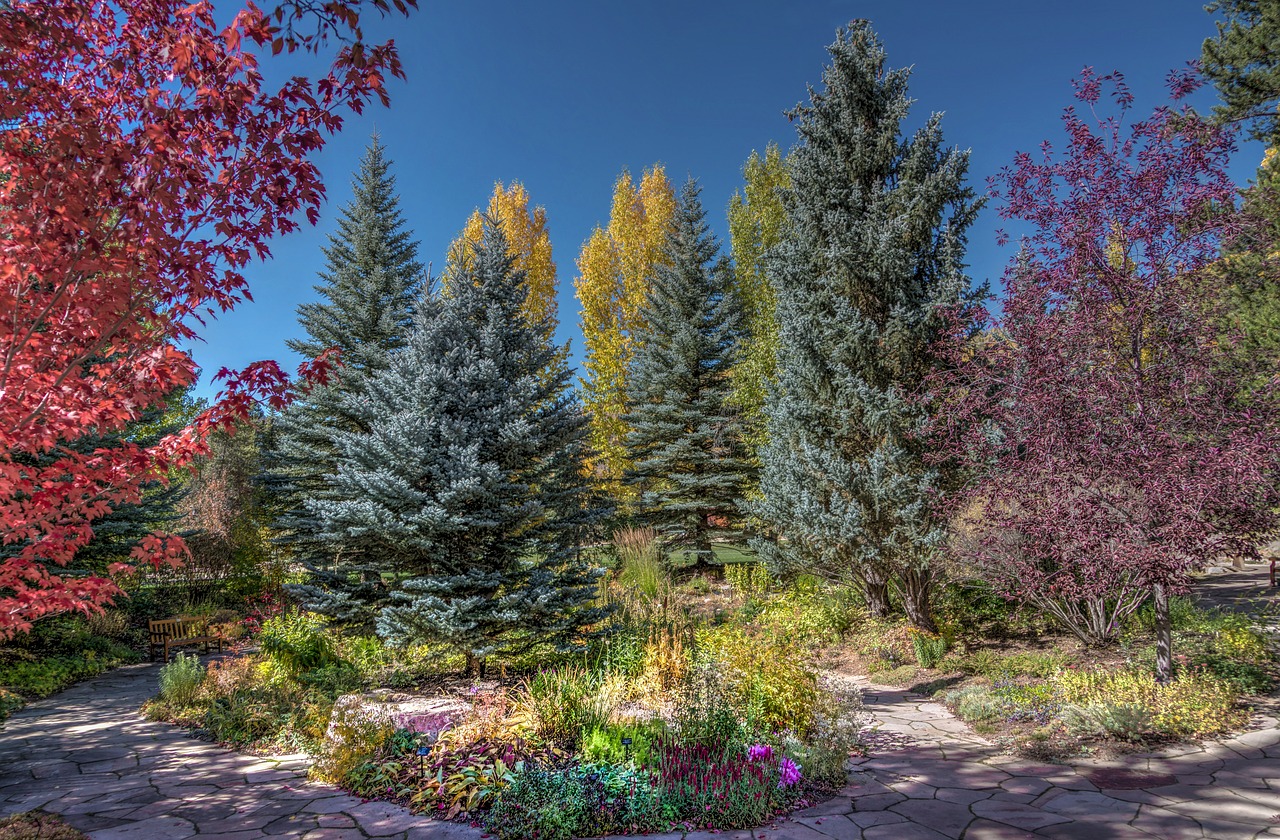 Image - vail colorado betty ford park