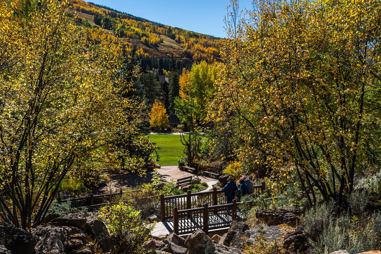 Image - vail colorado betty ford park path