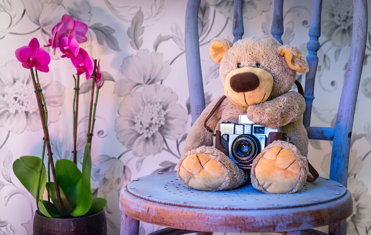 Image - teddy bear camera orchids scene