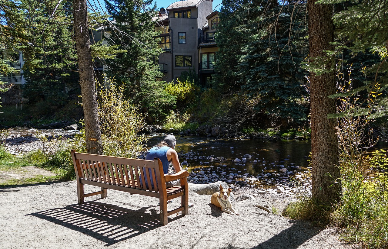 Image - person people dog bench river