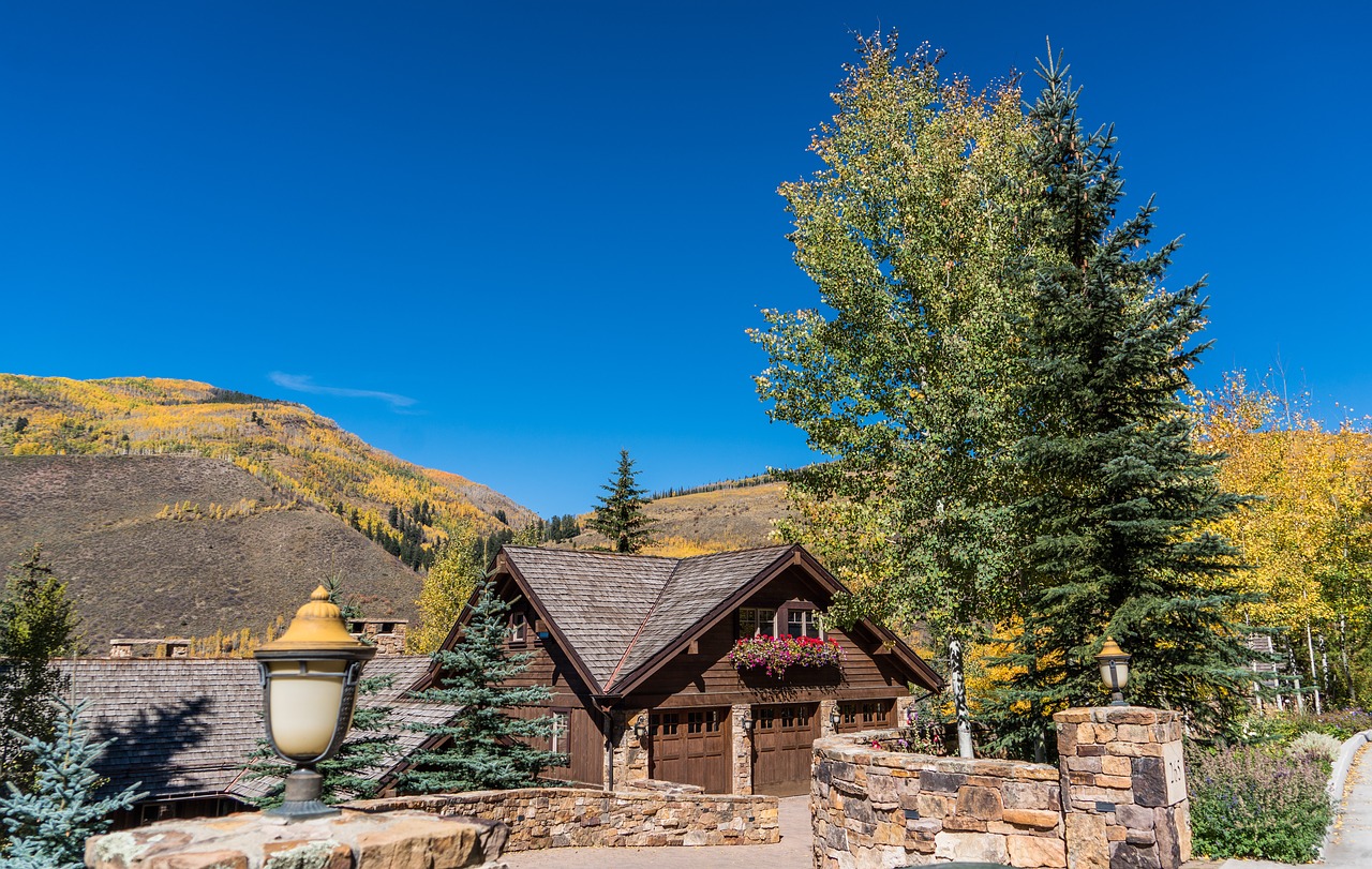 Image - vail colorado foliage mountains