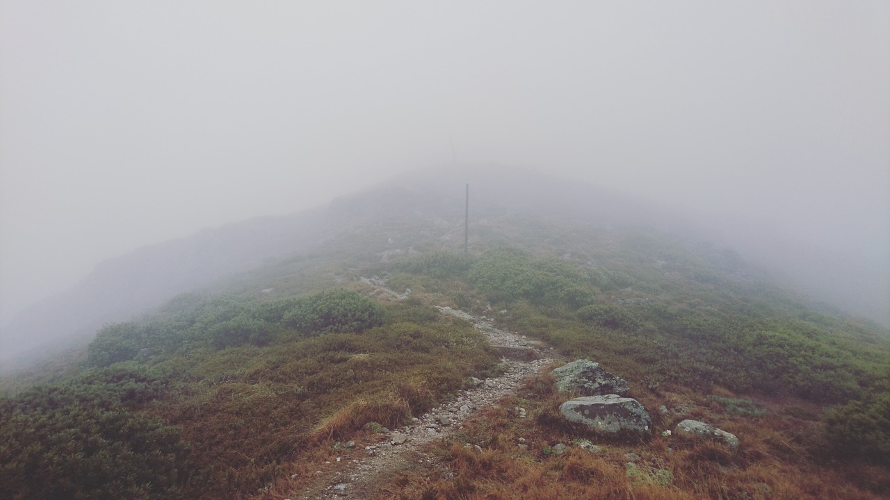 Image - hike mist hiking landscape fog