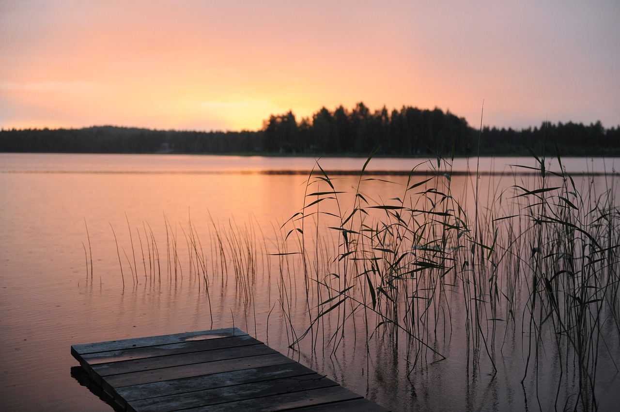 Image - summer night norrland pink nature