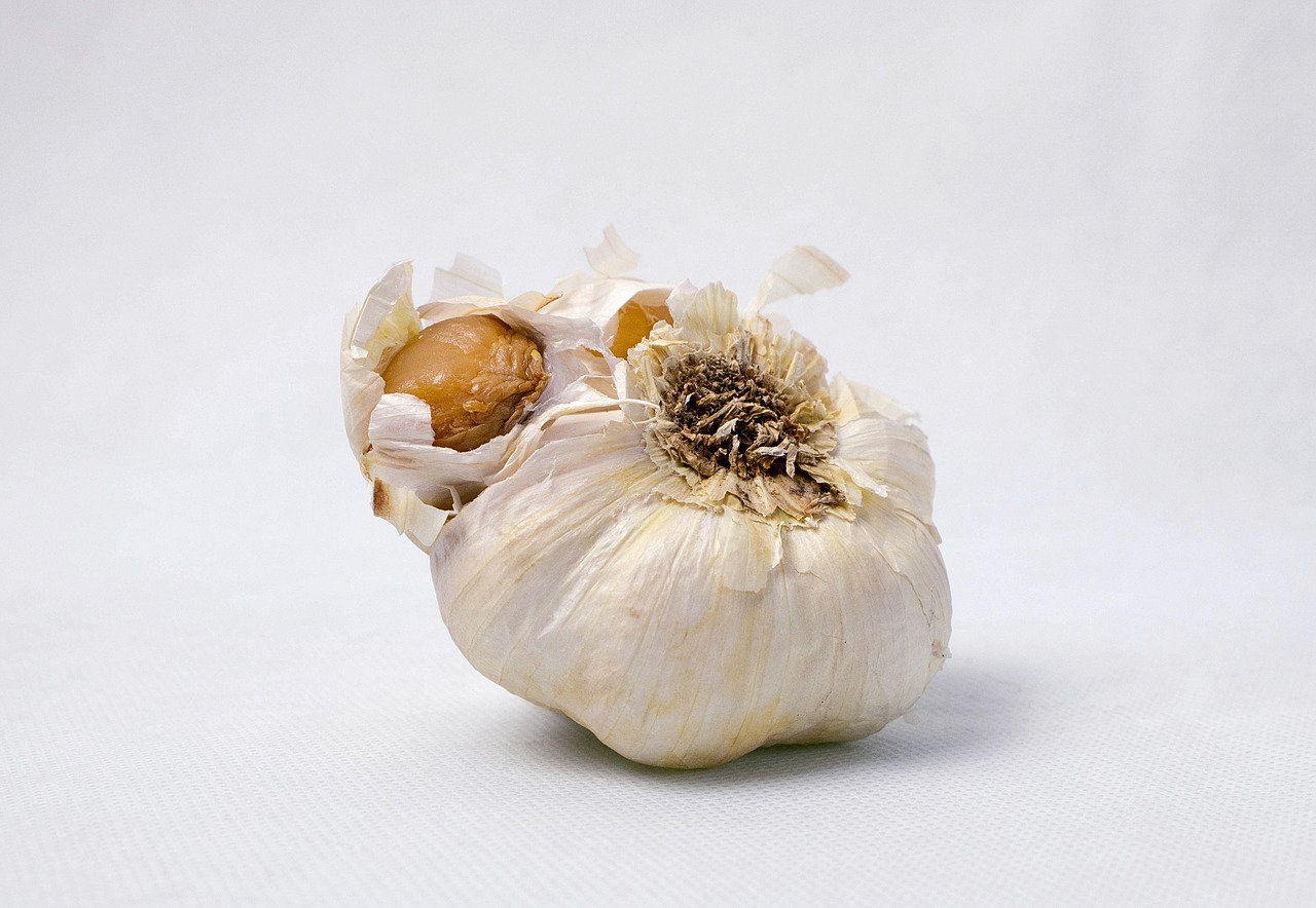 Image - garlic food vegetables corrupted